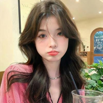 圣诞狗狗1:全面搜寻